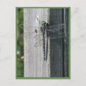 Dragonfly Briefkaart (Voorkant)