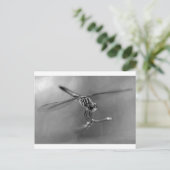 Dragonfly Briefkaart (Staand voorkant)