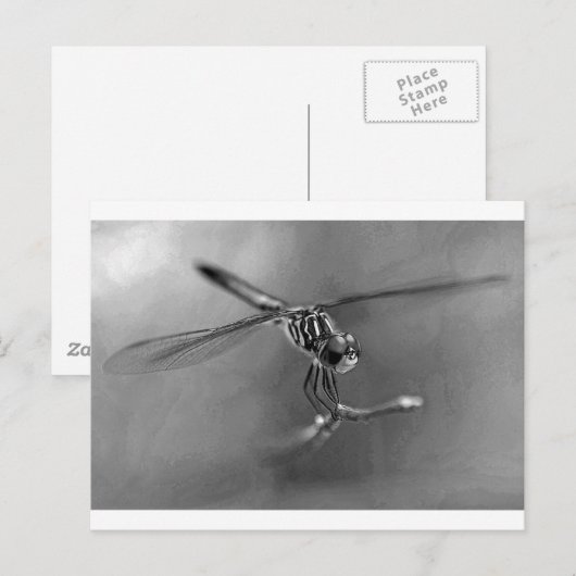 Dragonfly Briefkaart (Voorkant / Achterkant)