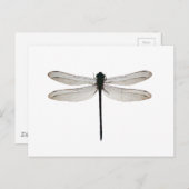 Dragonfly Briefkaart (Voorkant / Achterkant)
