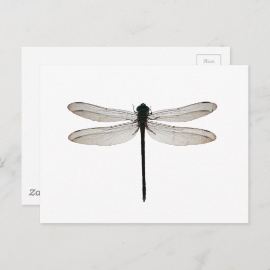 Dragonfly Briefkaart (Voorkant / Achterkant)