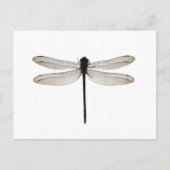 Dragonfly Briefkaart (Voorkant)