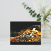 Dragonfly Briefkaart (Staand voorkant)