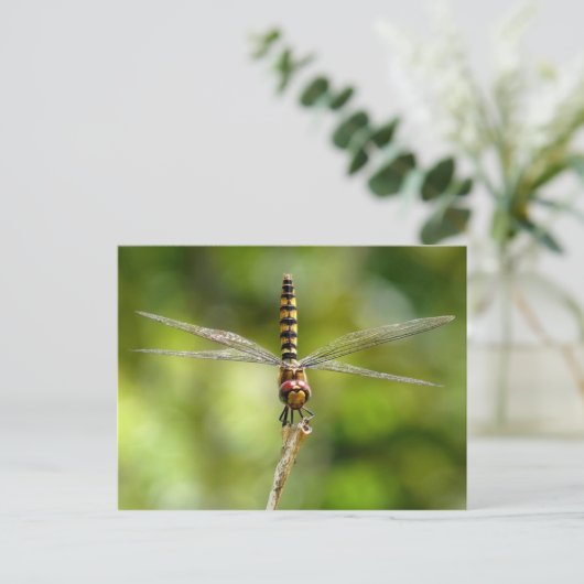 Dragonfly Briefkaart (Staand voorkant)