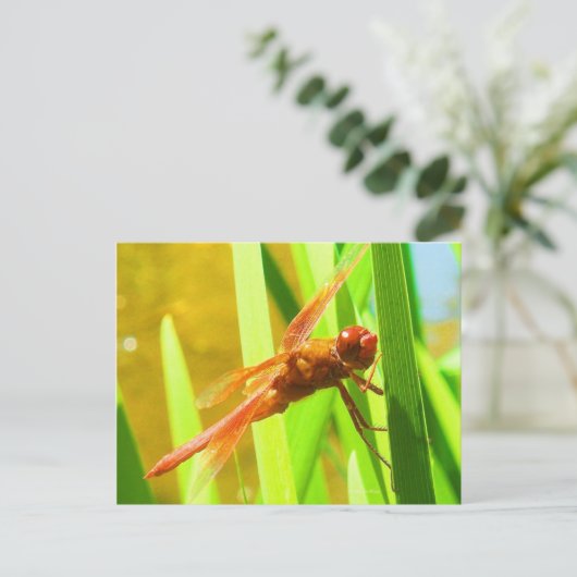 Dragonfly Briefkaart (Staand voorkant)