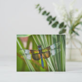 Dragonfly Briefkaart (Staand voorkant)
