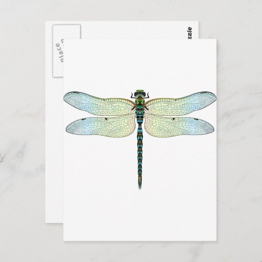 DragonFly Briefkaart (Voorkant / Achterkant)