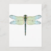 DragonFly Briefkaart (Voorkant)