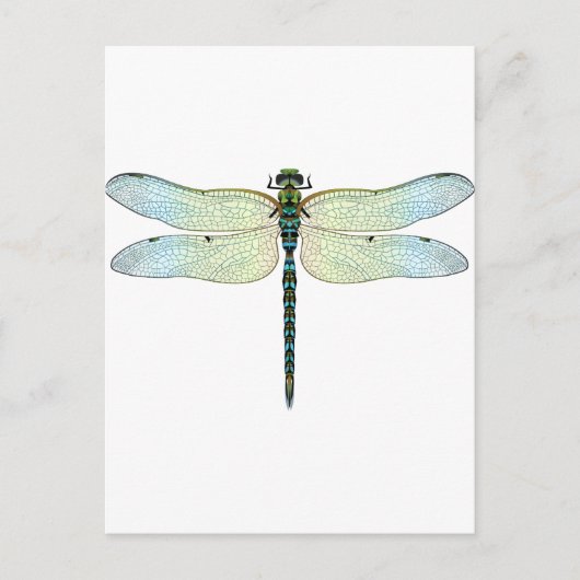 DragonFly Briefkaart (Voorkant)