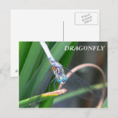 Dragonfly Briefkaart (Voorkant / Achterkant)