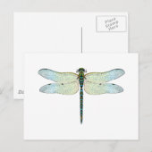 DragonFly Briefkaart (Voorkant / Achterkant)