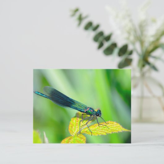Dragonfly Briefkaart (Staand voorkant)