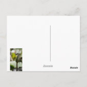 Dragonfly-Briefkaart Briefkaart (Achterkant)