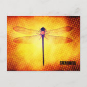 Dragonfly-Briefkaart Briefkaart (Voorkant)