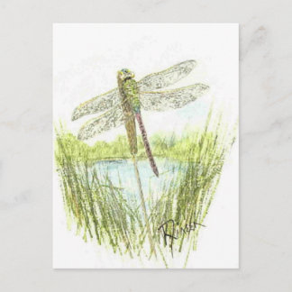 Dragonfly-briefkaart Briefkaart