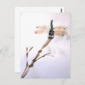 Dragonfly-Briefkaart Briefkaart (Voorkant / Achterkant)