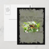 Dragonfly-Briefkaart Briefkaart (Voorkant / Achterkant)