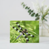 Dragonfly-Briefkaart Briefkaart (Staand voorkant)