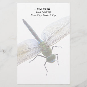 Dragonfly Briefpapier