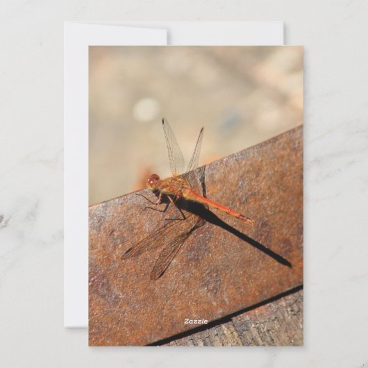 Dragonfly bruiloft uitnodiging (Achterkant)