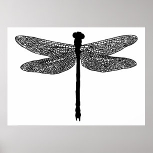 dragonfly Bug Insecte natuur Silhouette art Poster