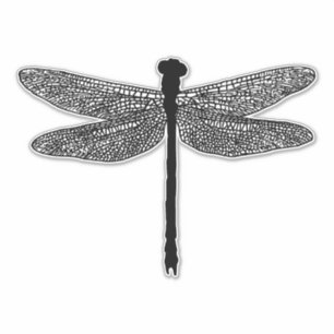 dragonfly Bug Insecte natuur wild Silhouette  Sticker