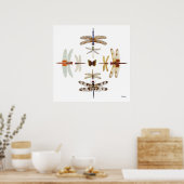 Dragonfly Bullseye grafische kaart Poster (Keuken)