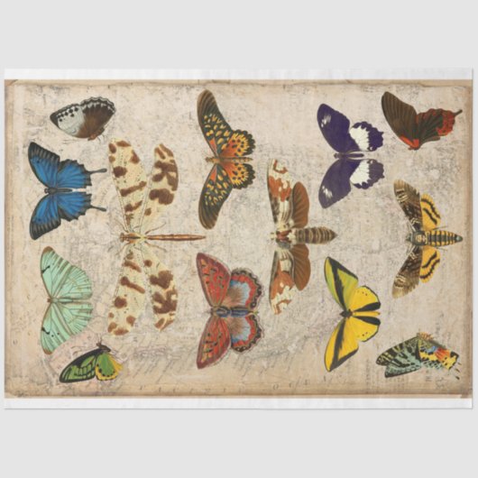 Dragonfly Butterfly moth decoupage Tissuepapier (Voorkant)