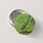 Dragonfly-Button Ronde Button 3,2 Cm (Voorkant /achterkant)