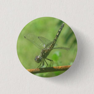 Dragonfly-Button Ronde Button 3,2 Cm