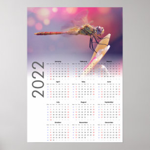 Dragonfly Calendar 2022 Poster - Sunday start