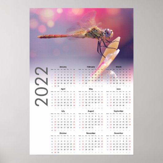 Dragonfly Calendar 2022 Poster - Sunday start (Voorkant)