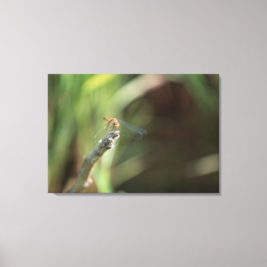 Dragonfly Canvas Afdruk (Voorkant)