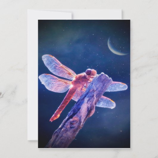 Dragonfly Canvas, dameszacht, schattig boho Canvas (Voorkant)