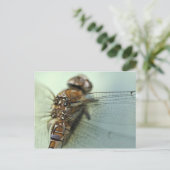 Dragonfly close-up briefkaart (Staand voorkant)