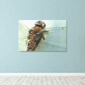 Dragonfly close-up canvas afdruk (Insitu (Houten vloer))