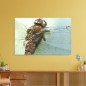 Dragonfly close-up canvas afdruk (Insitu (Woonkamer))
