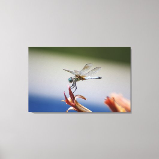 Dragonfly close-up foto muurkunst canvas afdruk (Voorkant)