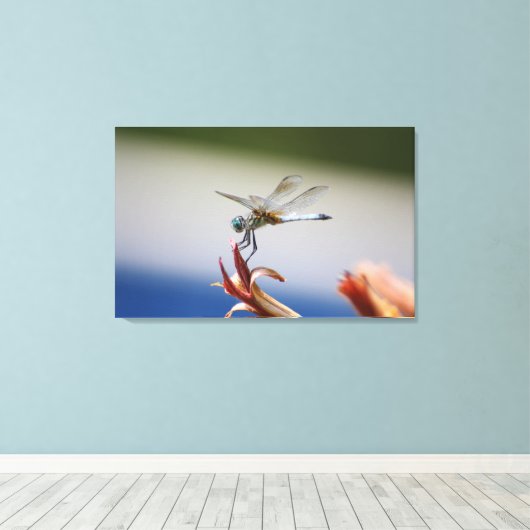 Dragonfly close-up foto muurkunst canvas afdruk (Insitu (Houten vloer))