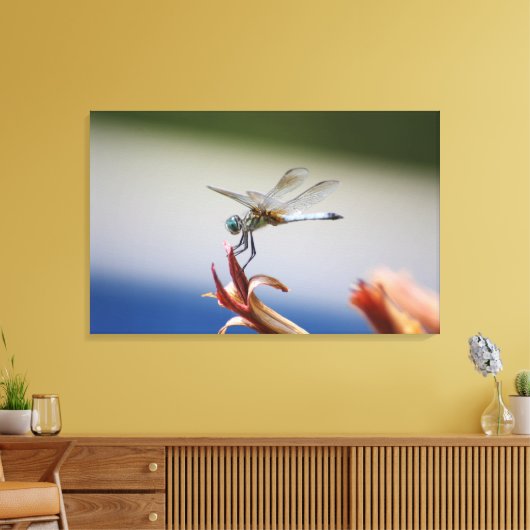Dragonfly close-up foto muurkunst canvas afdruk (Insitu (Woonkamer))