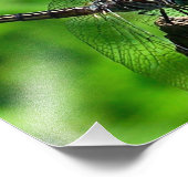 Dragonfly Close-Up Natuur 8x10 Foto Afdruk (Hoek)