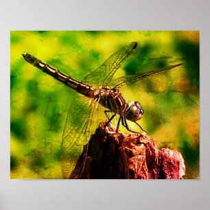 Dragonfly Close-up Natuur Distressed Art Poster