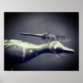 Dragonfly Co Pilot Black and White Poster (Voorkant)