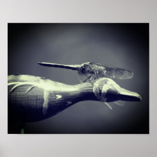Dragonfly Co Pilot Black and White Poster