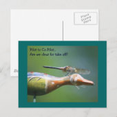 Dragonfly Co Pilot Humoureus Natuur Briefkaart (Voorkant / Achterkant)