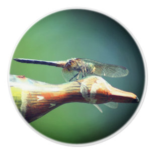 Dragonfly Co Pilot Insect Keramische Knop