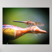 Dragonfly Co Pilot Insect Poster (Voorkant)
