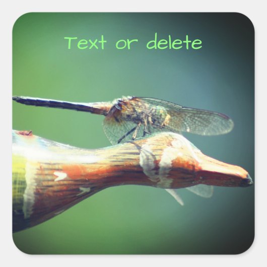 Dragonfly Co Pilot Personalized Natuur Vierkante Sticker (Voorkant)