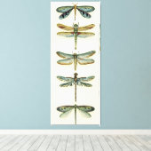 Dragonfly-Collectie door Chariklia Zarris Canvas Afdruk (Insitu (Houten vloer))