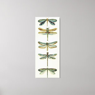 Dragonfly-Collectie door Chariklia Zarris Canvas Afdruk